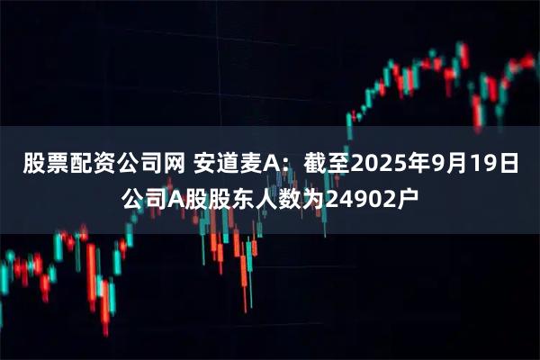股票配资公司网 安道麦A：截至2025年9月19日公司A股股东人数为24902户
